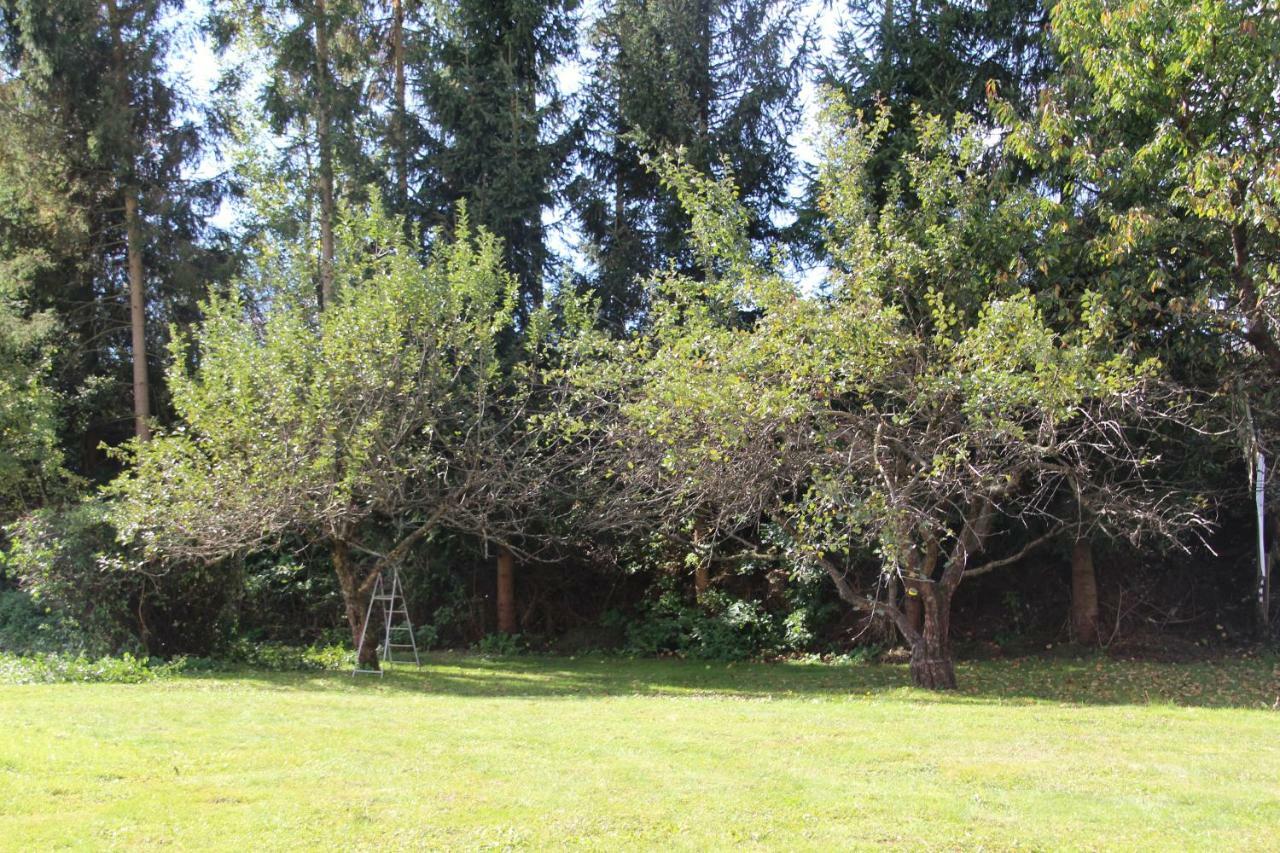 Narrenhaus Villa Fohnsdorf Buitenkant foto